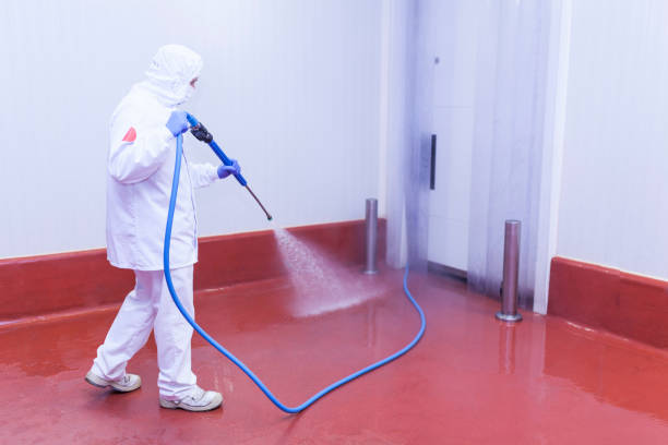 Best Vinyl Siding Pressure Washing in Wickenburg, AZ